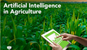 Ai in Agriculture 