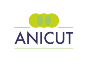 Anicut Capital GIFT City," "Private Credit Fund 3 investment," "dollar-denominated investments in India," "Anicut Capital private credit strategy," and "GIFT City Structure for international investors."